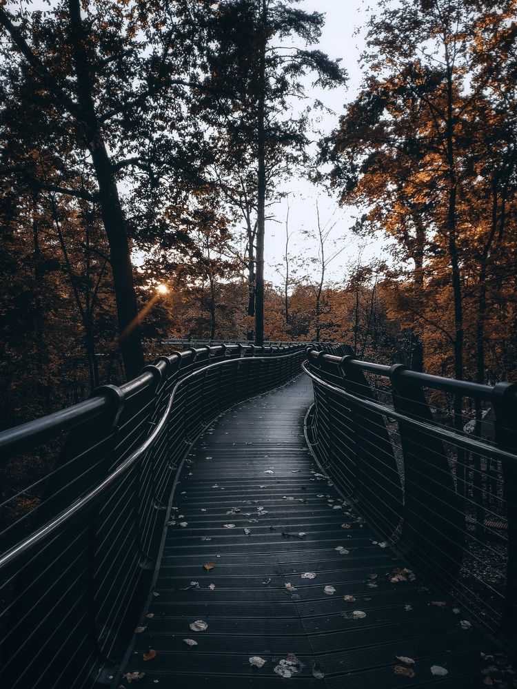 Photograph by Ксения Майорова