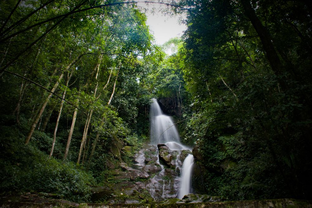 Photograph by Ashish Subba