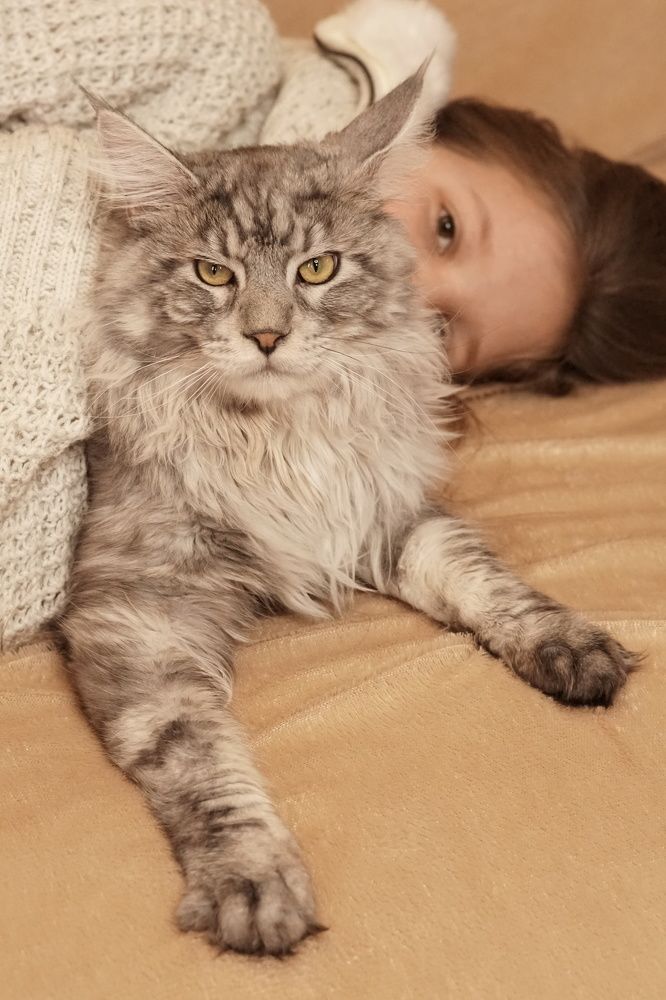 Photograph by Екатерина Ковальчук