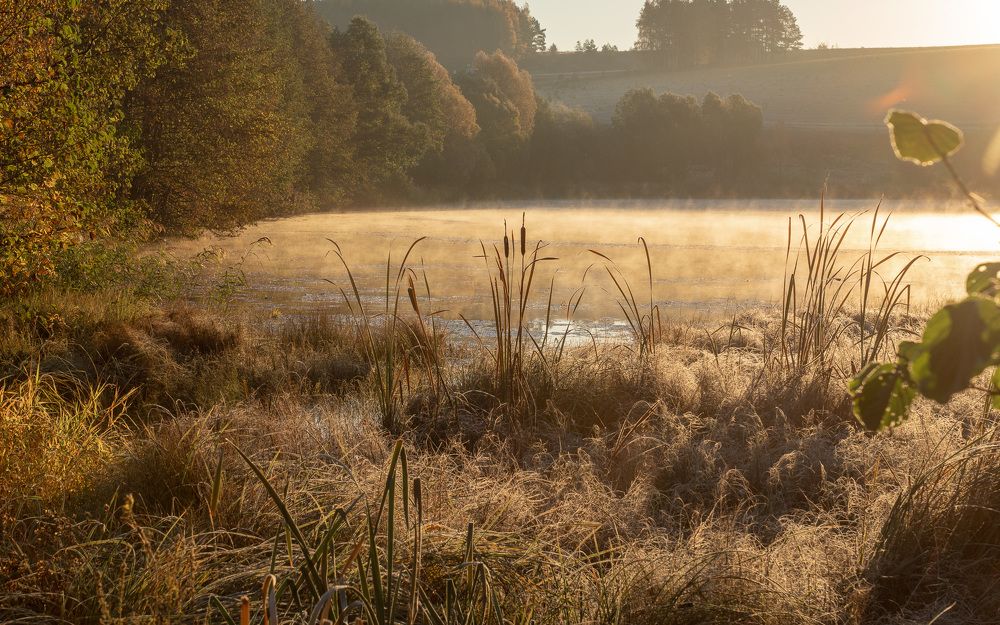 Фотография автора Александр Дюльгер