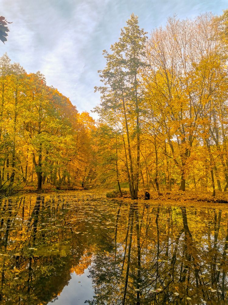 Photograph by Татьяна Антипова