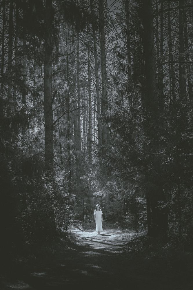 Фотография автора Елена Кедрова