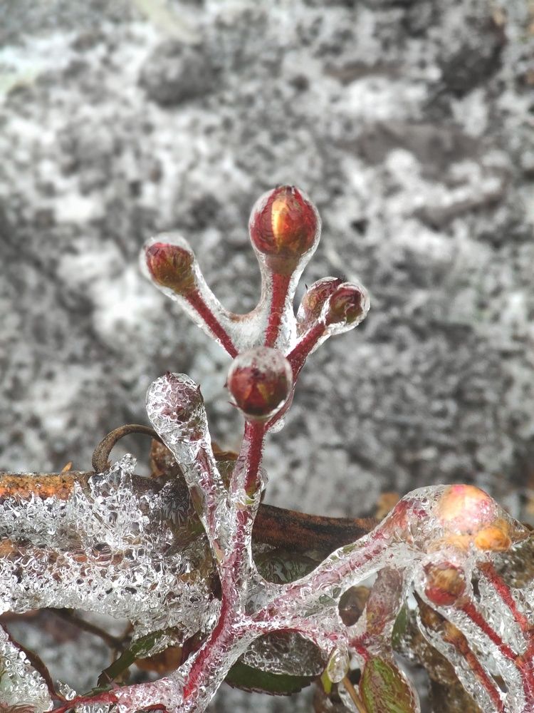 Фотография автора Марина Спильнык