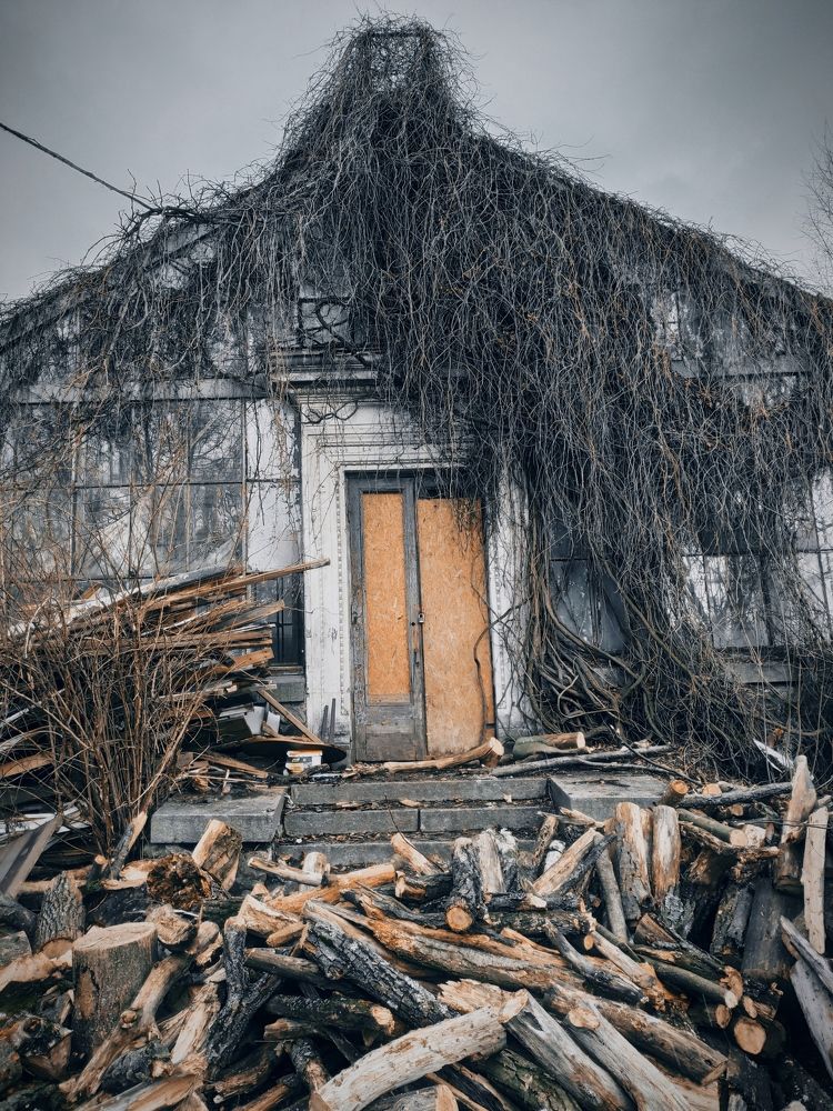 Фотография автора Марина Спильнык