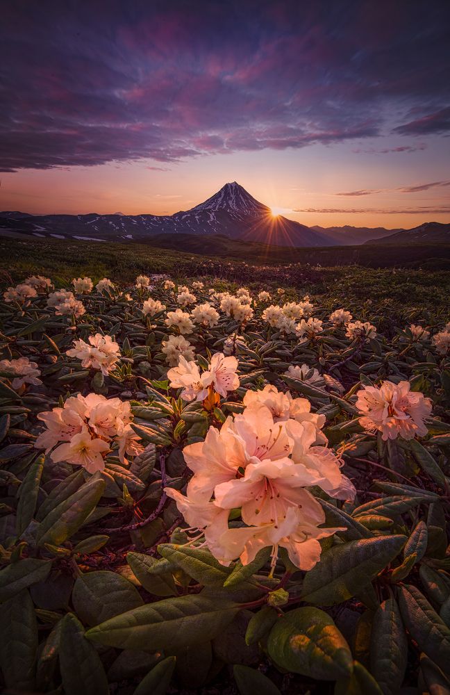 Photograph by Елена Ермолина