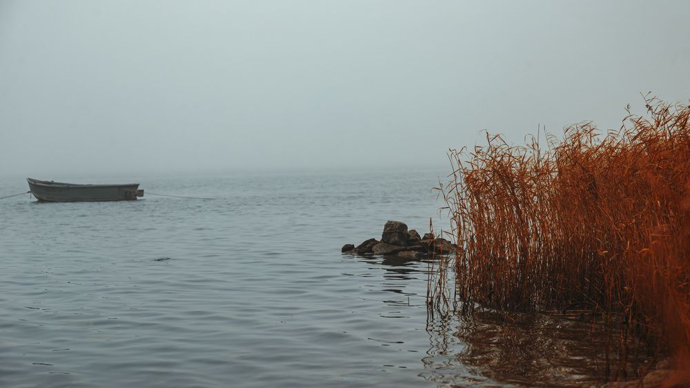 Photograph by Андрей Скорняков