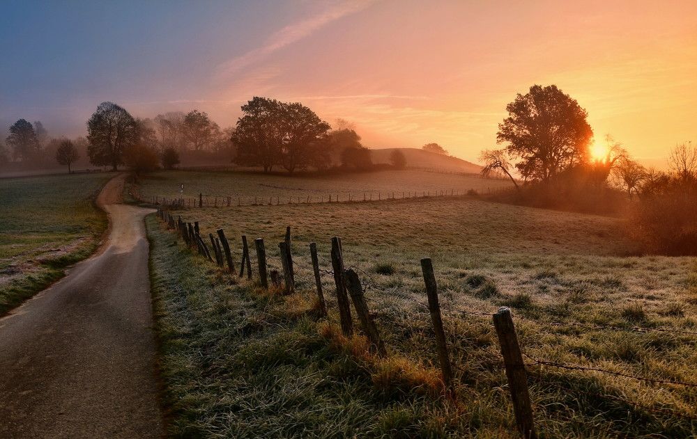 Photograph by Elena Wymann