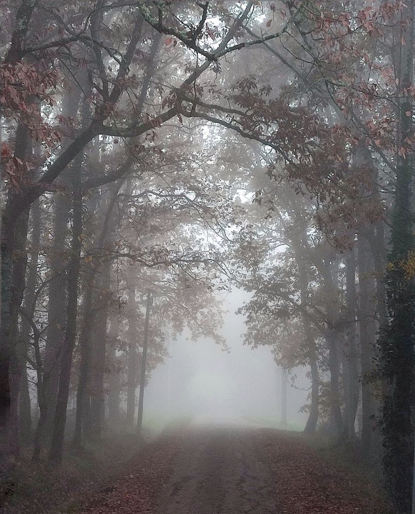 Photograph by Маргарита Пустовая