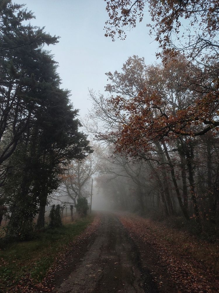 Photograph by Маргарита Пустовая