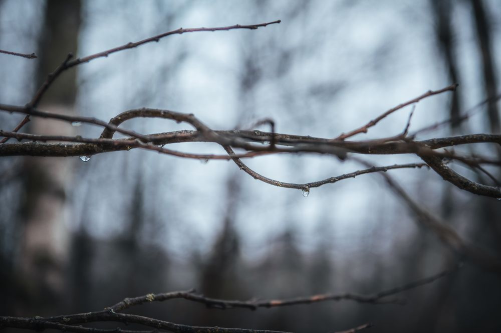 2020 November 13 / 2020 ноябрь 13