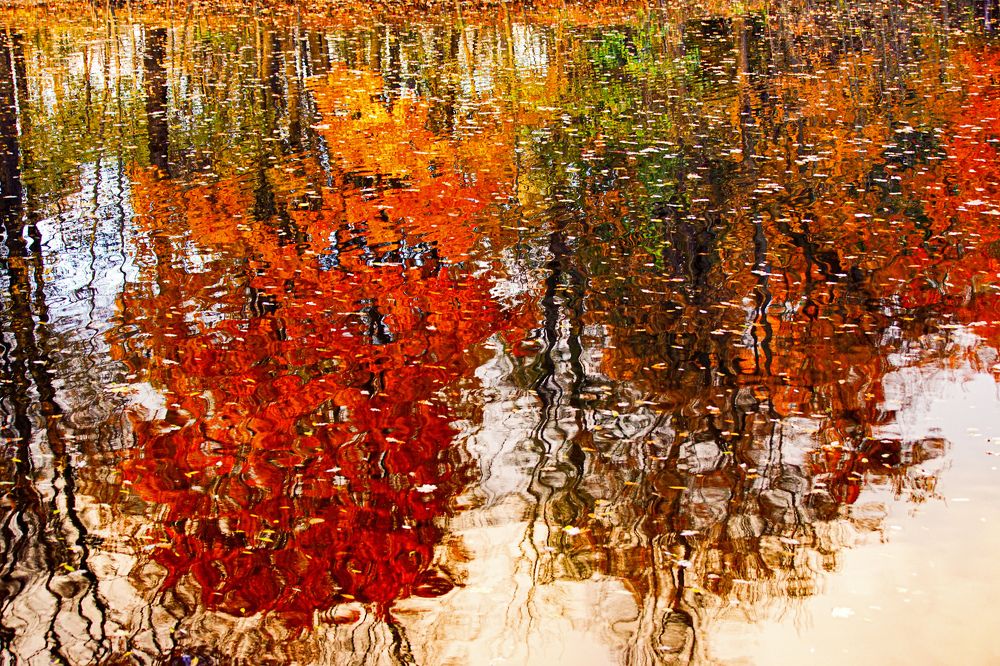 Photograph by Анна Васильева