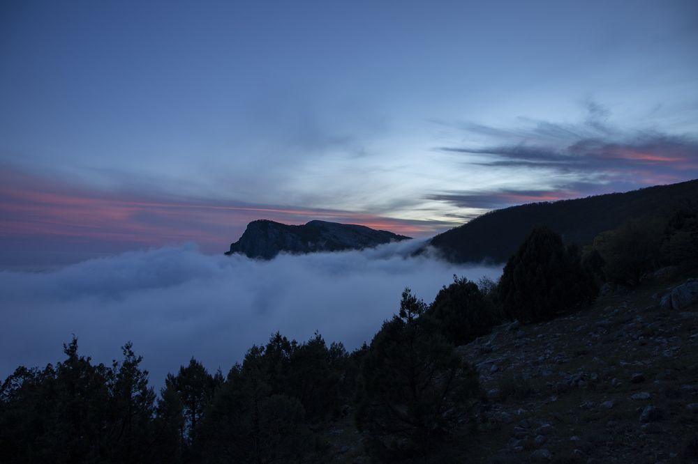 Photograph by Юлия Лазебная