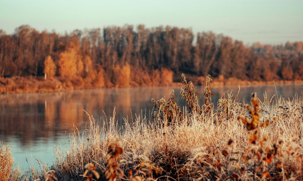 Фотография автора Юлия Фроленко