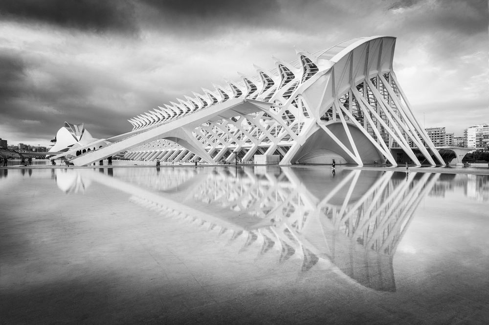 Photograph by Milan Chudoba