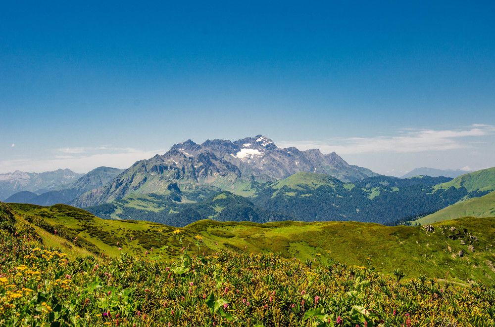 Photograph by Александр Леонов