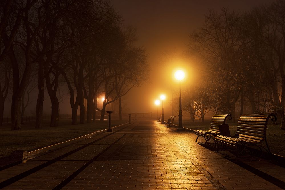 Photograph by Александр Бачурский