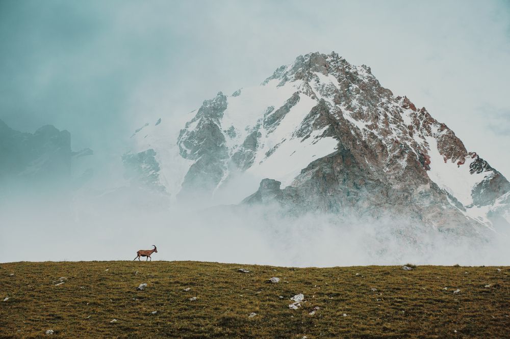 Фотография автора Алексей Новиков