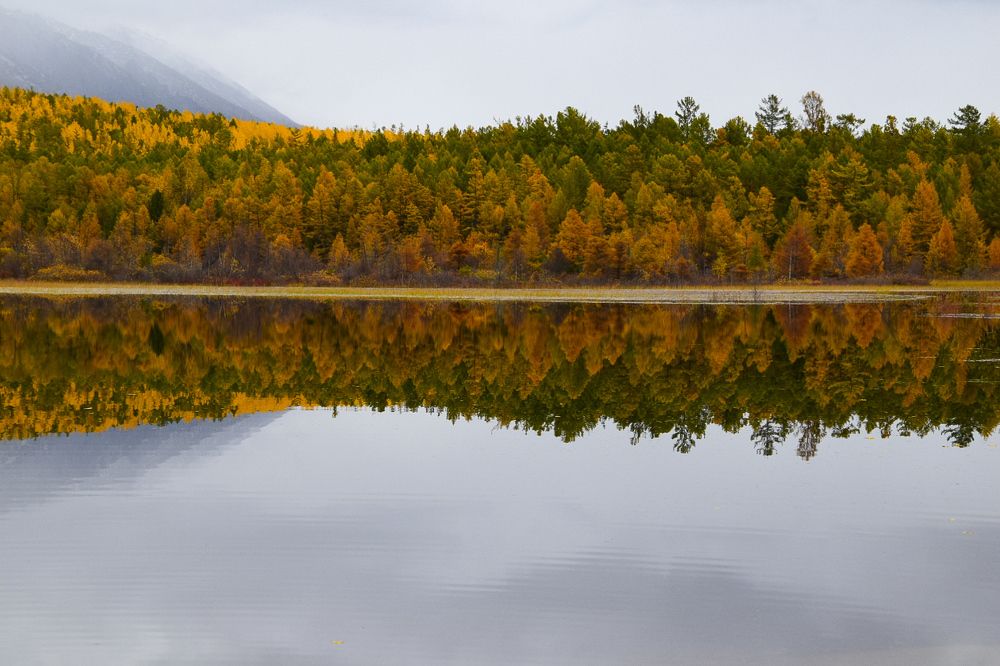 Photograph by Марина Корреа Ластра