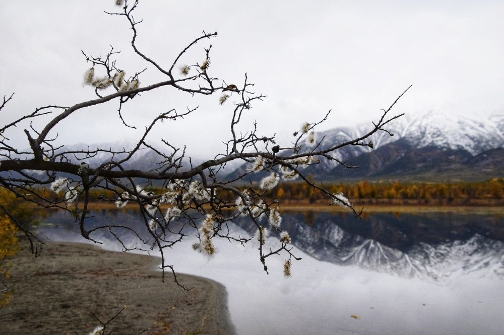 Photograph by Марина Корреа Ластра