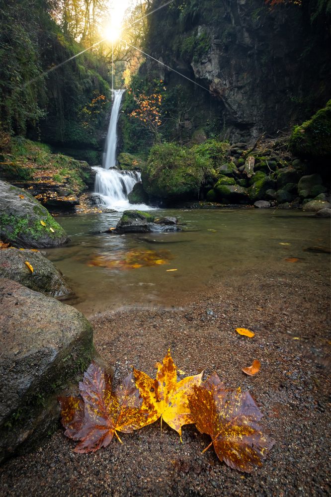 Фотография автора Pouya Palizkar