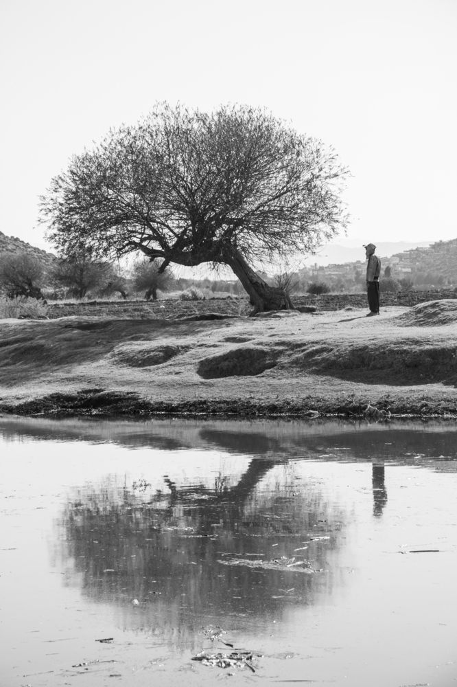 Photograph by amin Sharafiani