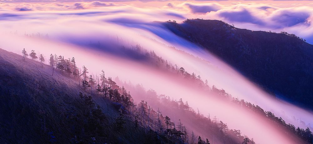 Photograph by si ong the