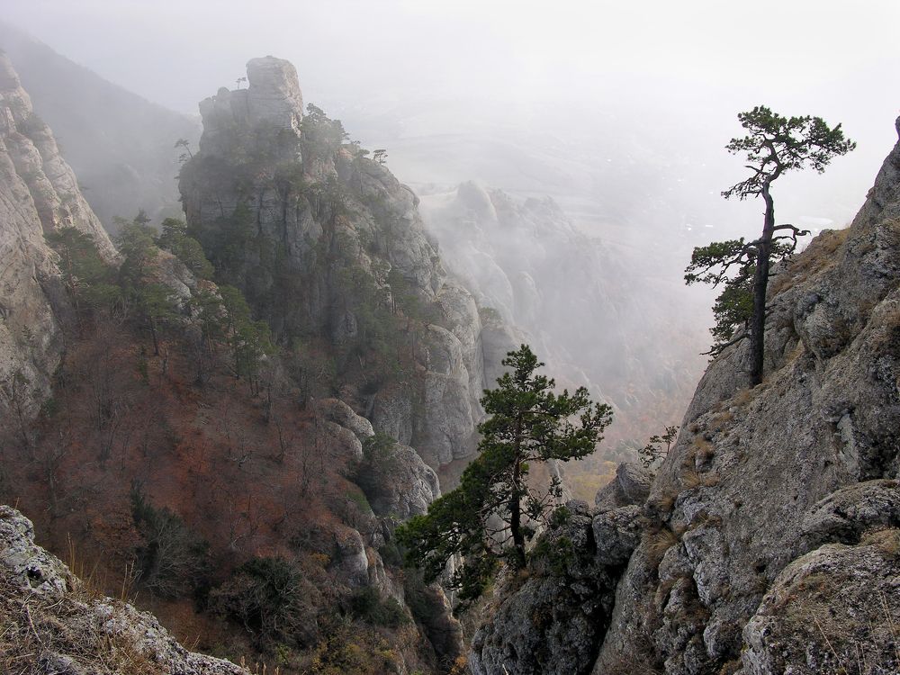 Фотография автора Владимир Метцгер
