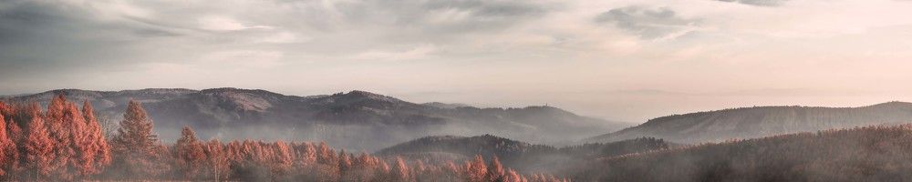 Photograph by Kamil Puobiš