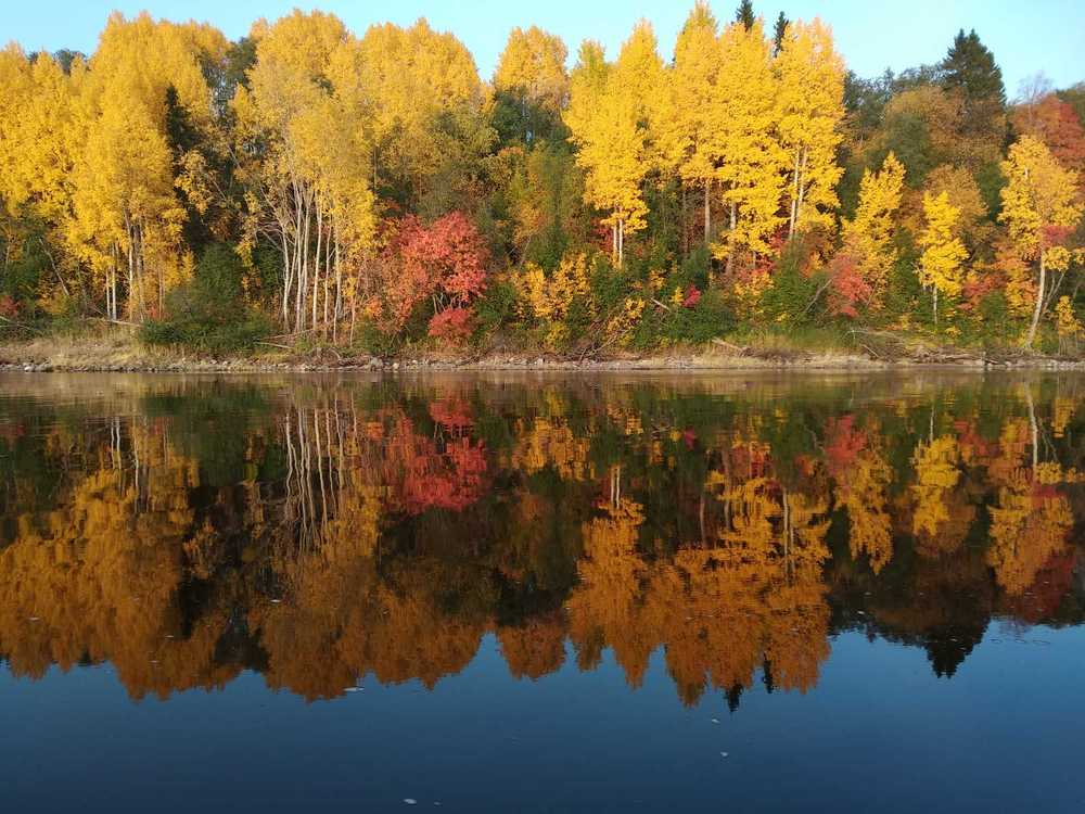 Photograph by Александр Трифанов