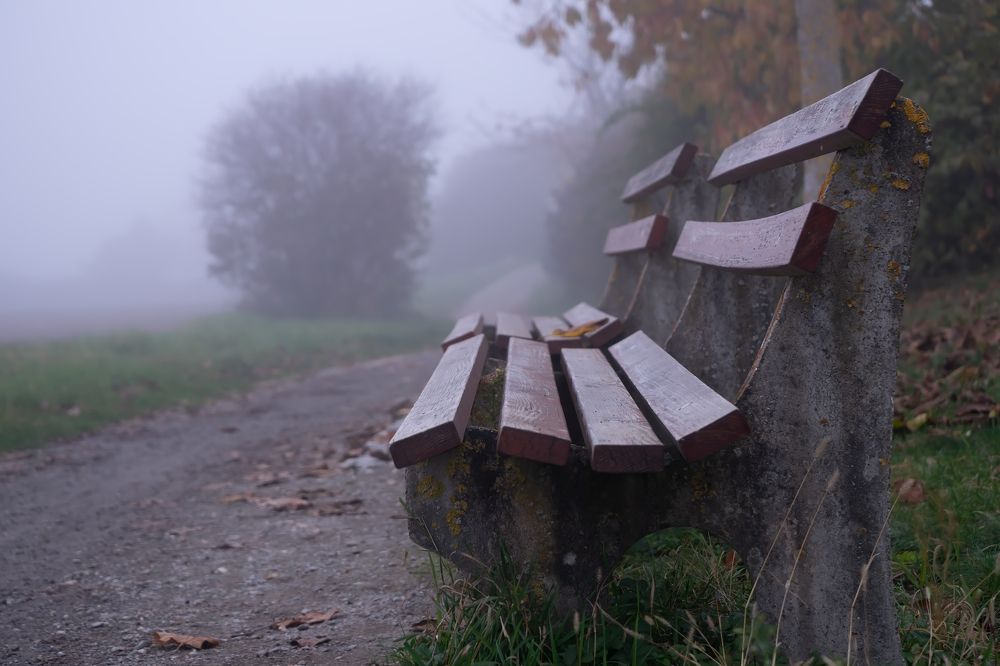 Photograph by Анастасия Ди Филиппо