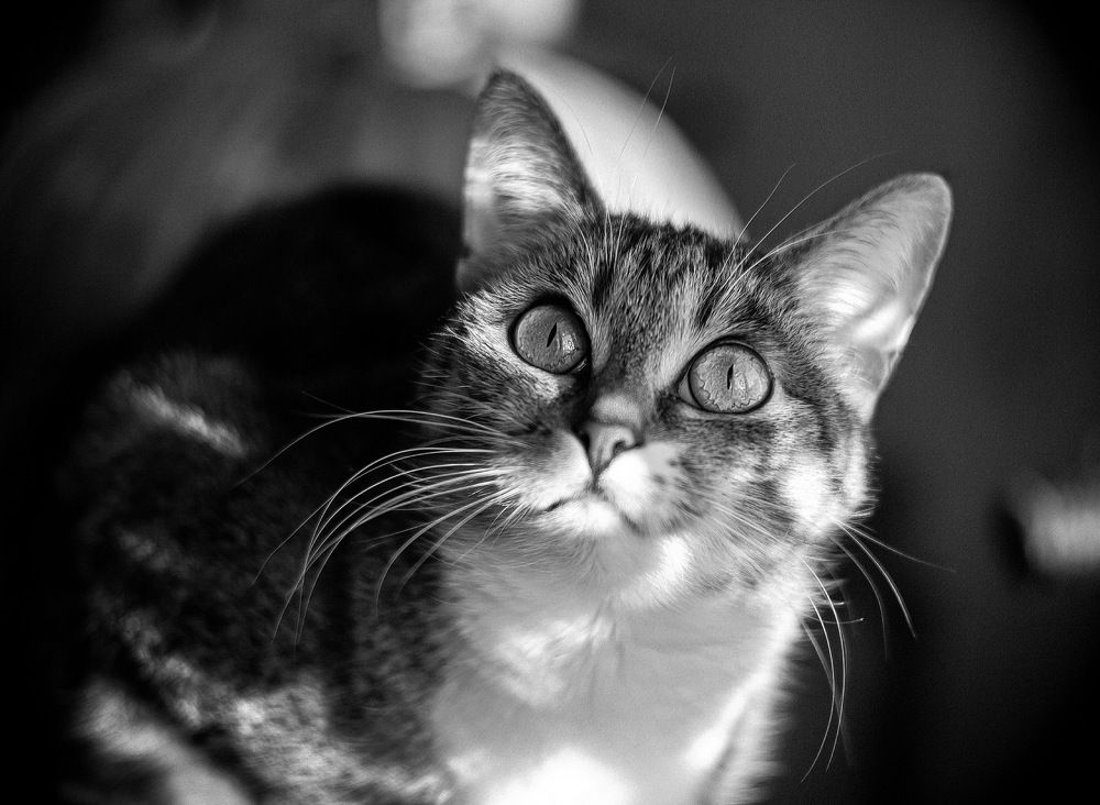 Photograph by Алексей Солдатов