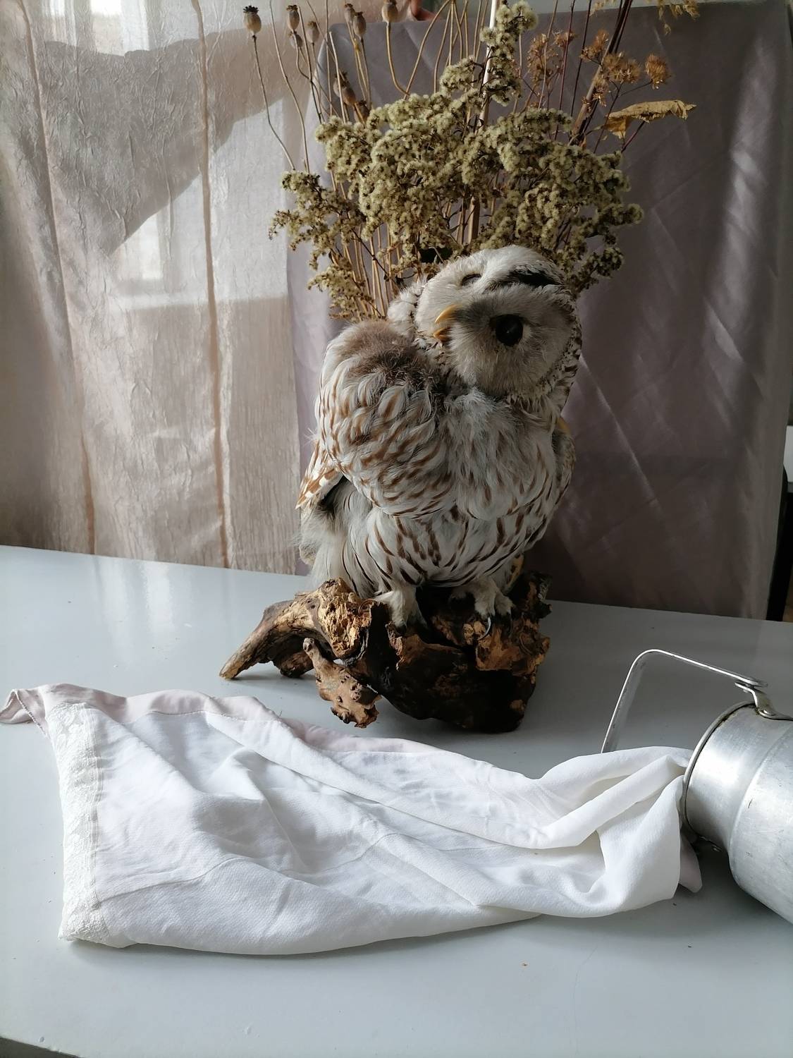 Photo #6849105