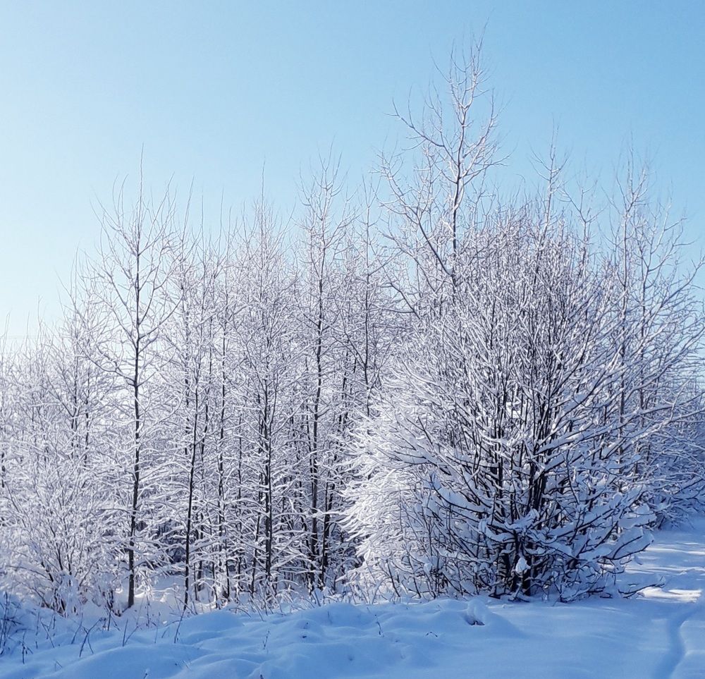 Photograph by Elena Morozova