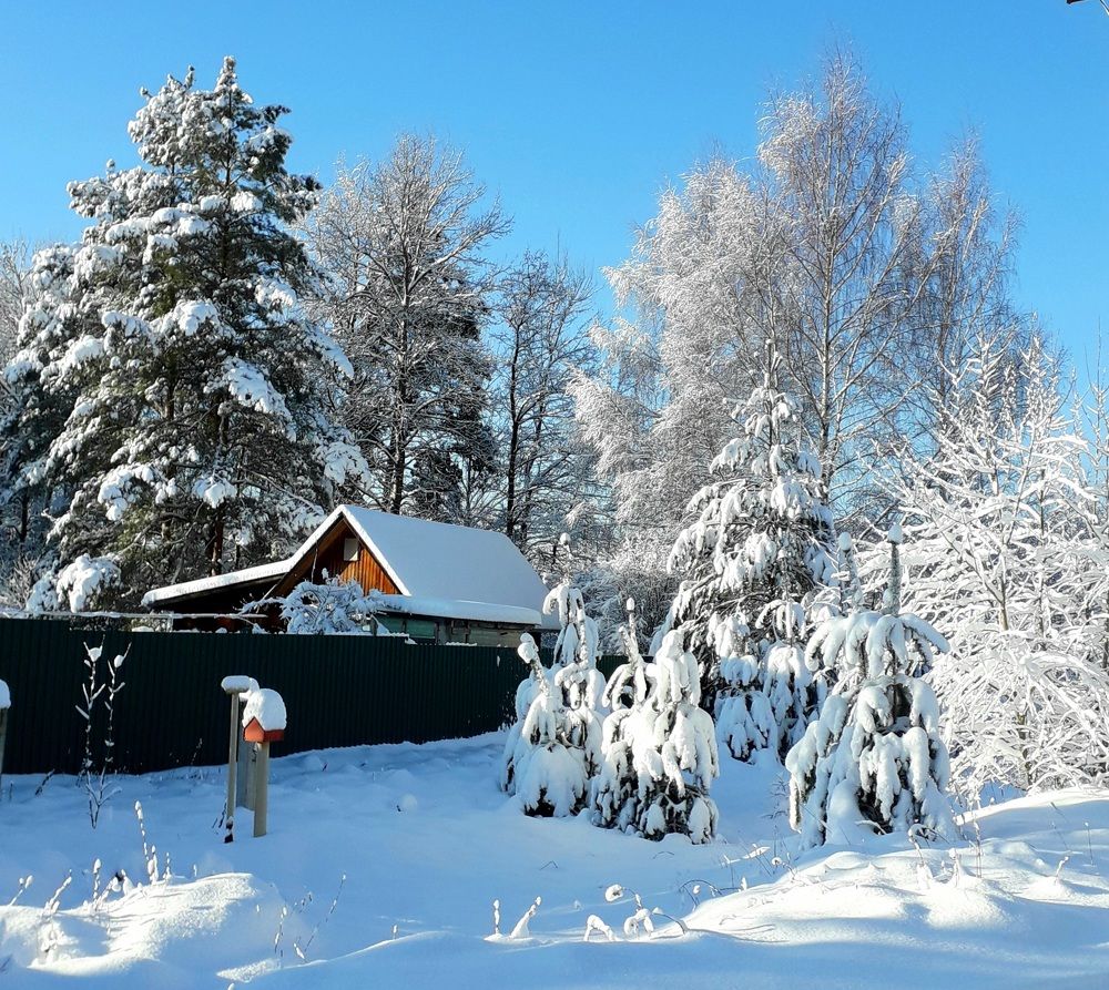 Photograph by Elena Morozova