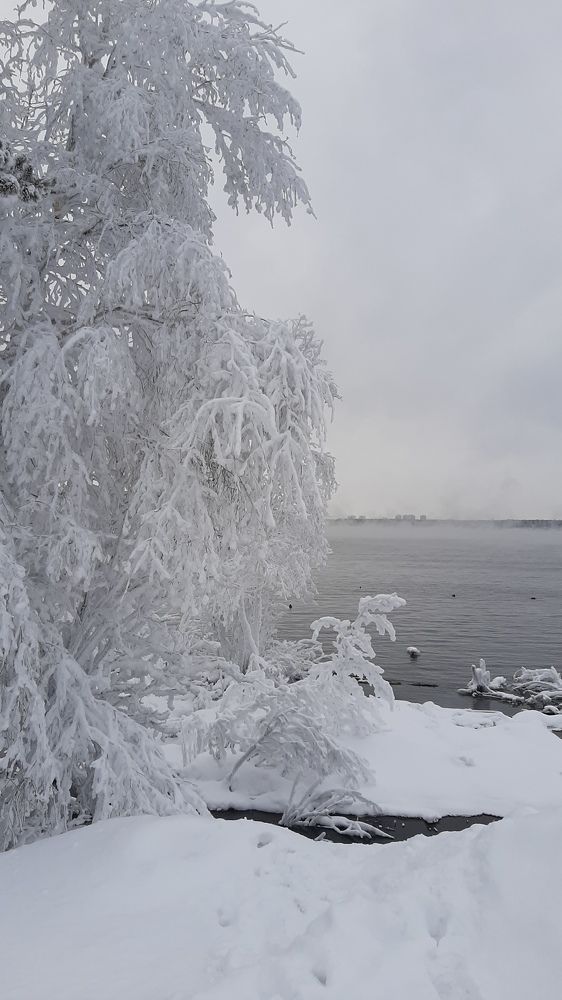 Photo #6849174