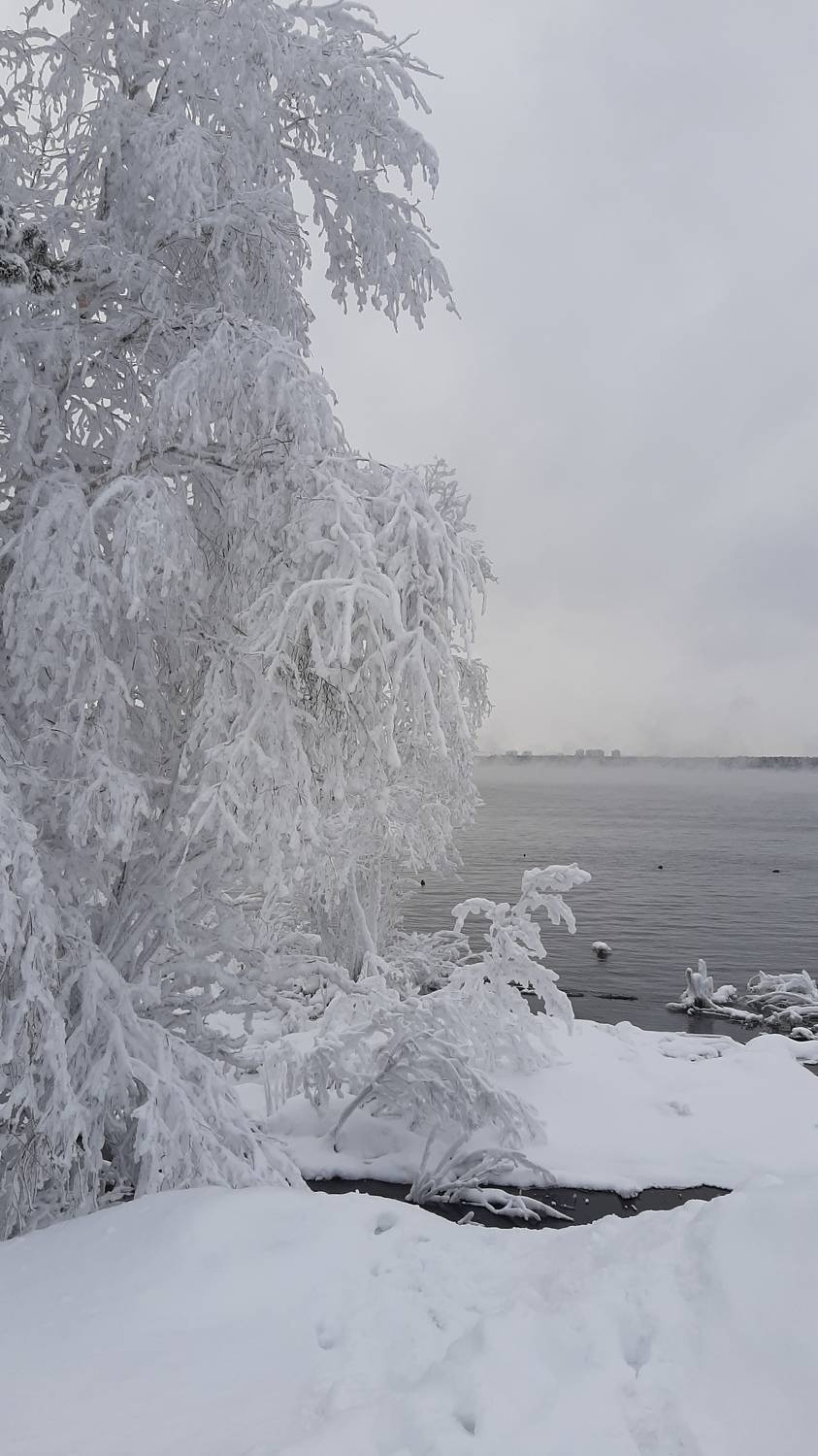 Photo #6849174