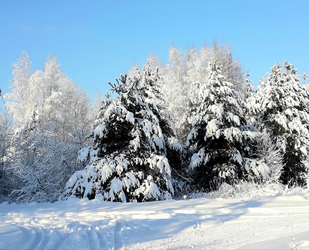 Photograph by Elena Morozova