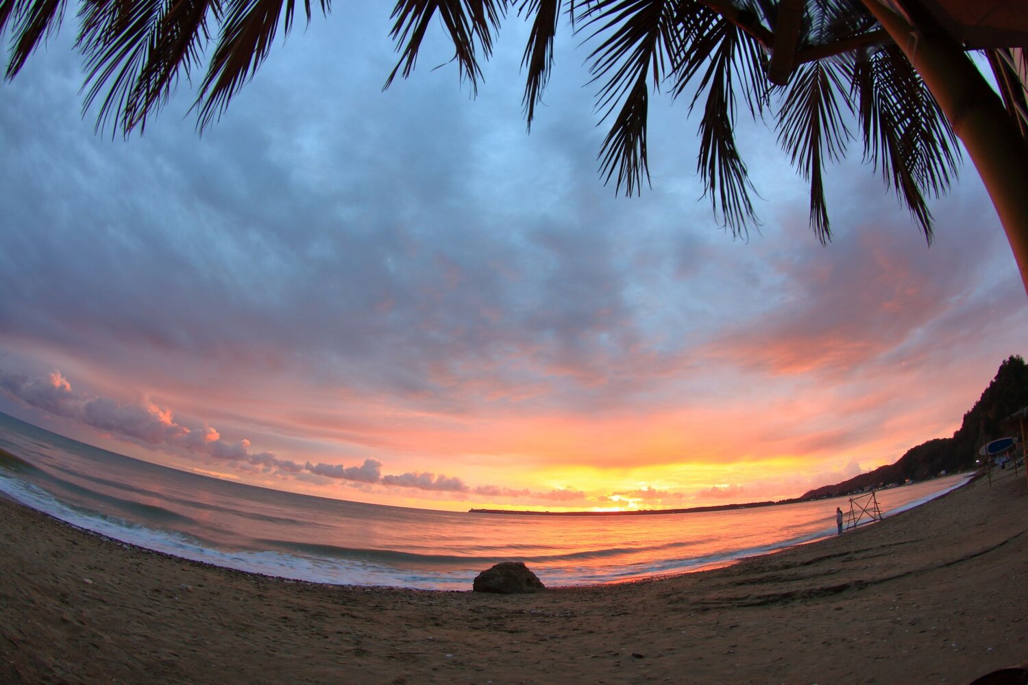 Photo #6849289