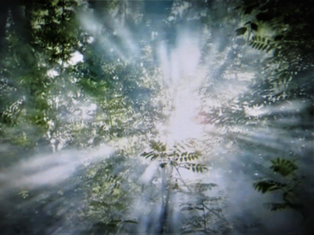 Photograph by Галина