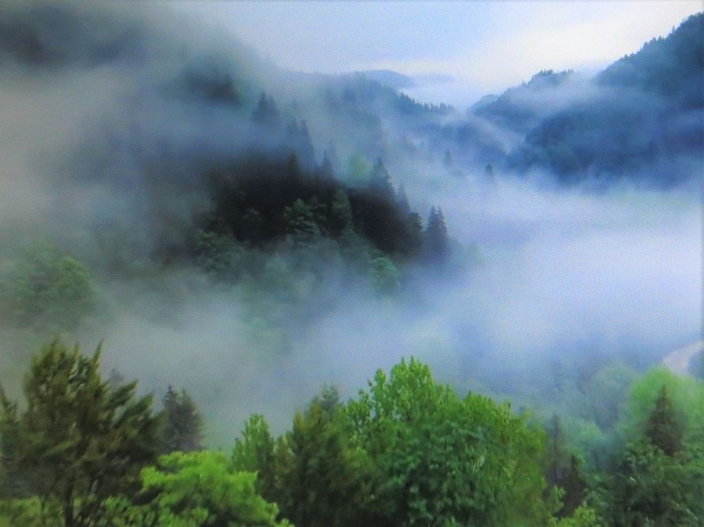 Photograph by Галина