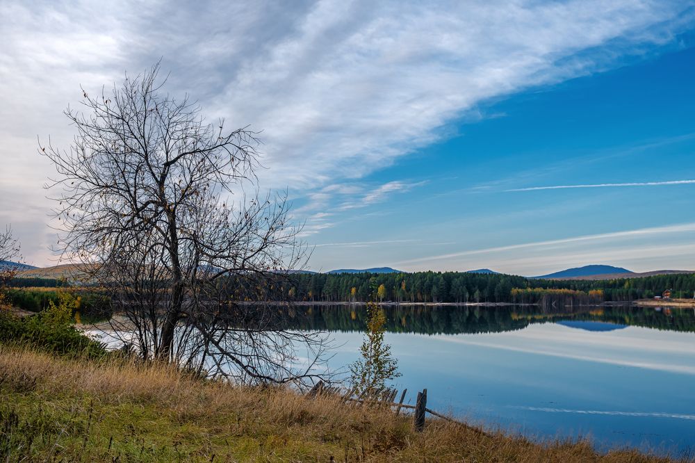 Павдинский пруд