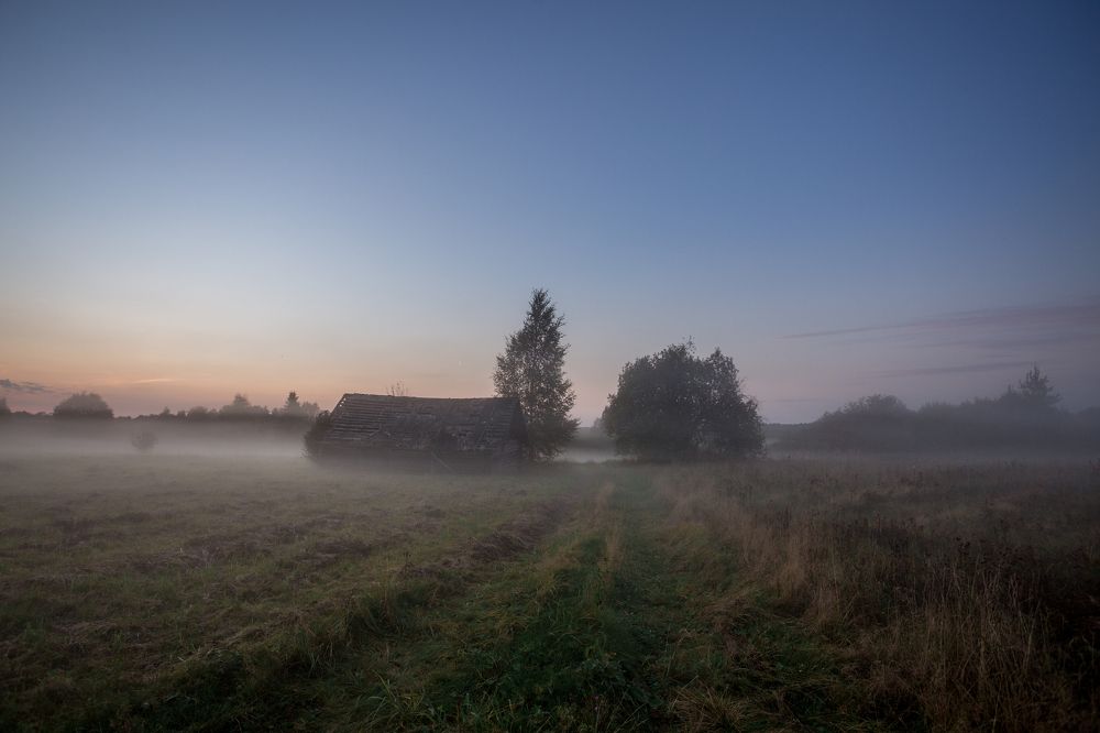 Photograph by Ekaterina Berendykhina