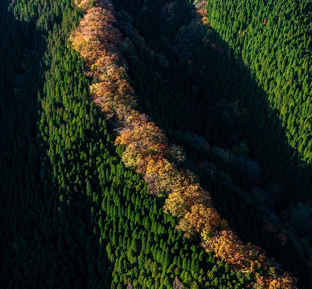 Photograph by si ong the