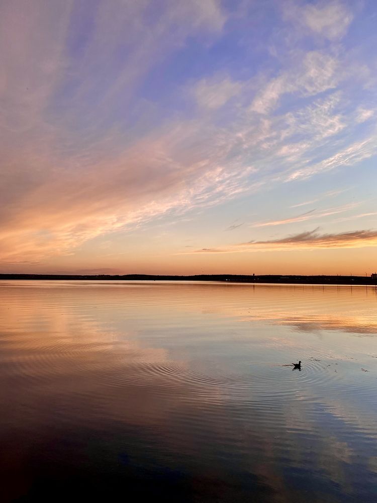 Фотография автора Александр Заикин