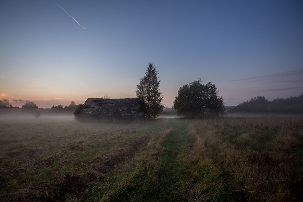 Photograph by Ekaterina Berendykhina