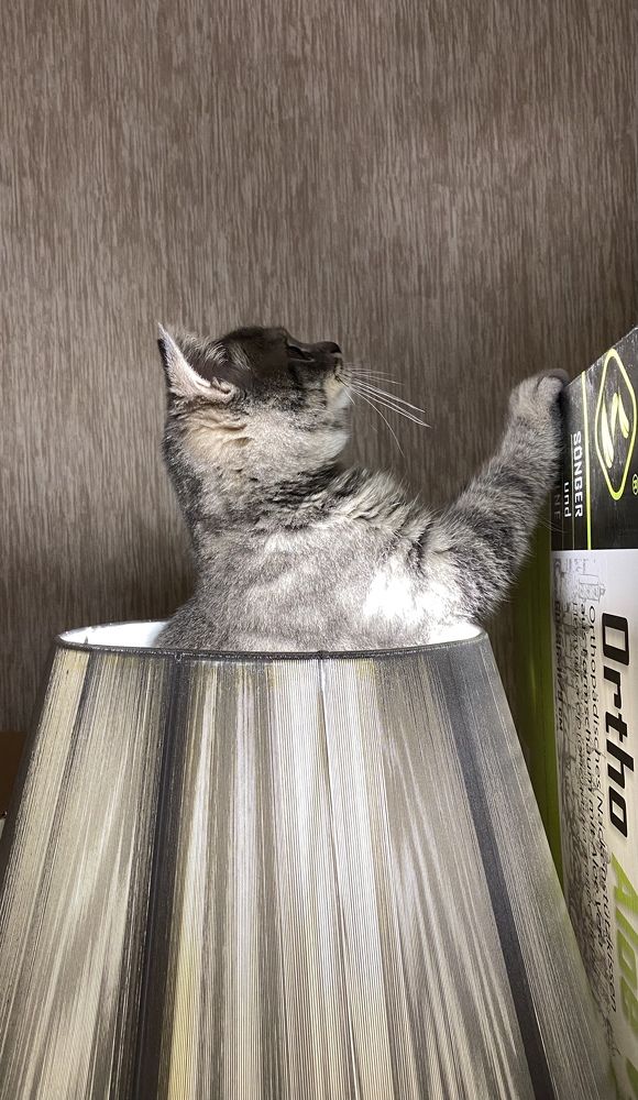 Photograph by Елена