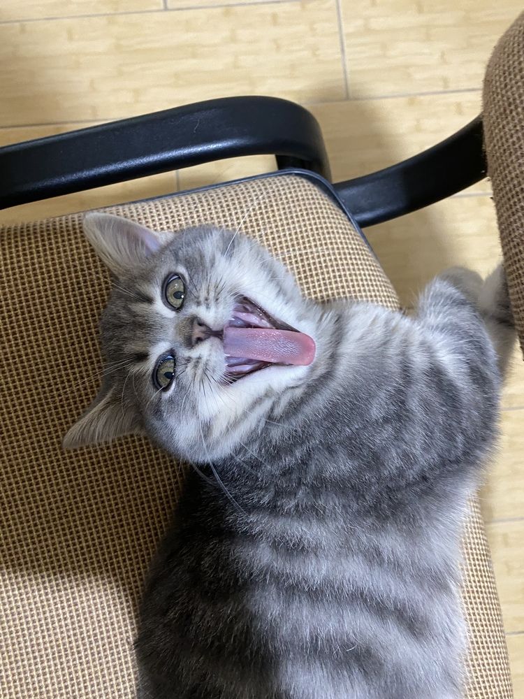 Photograph by Елена