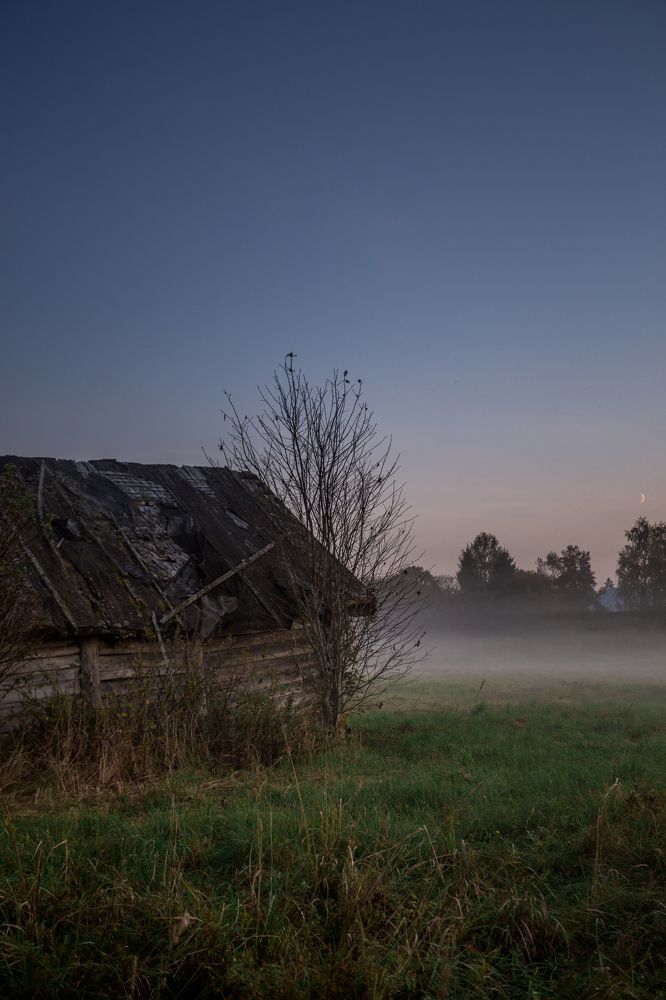 Photograph by Ekaterina Berendykhina