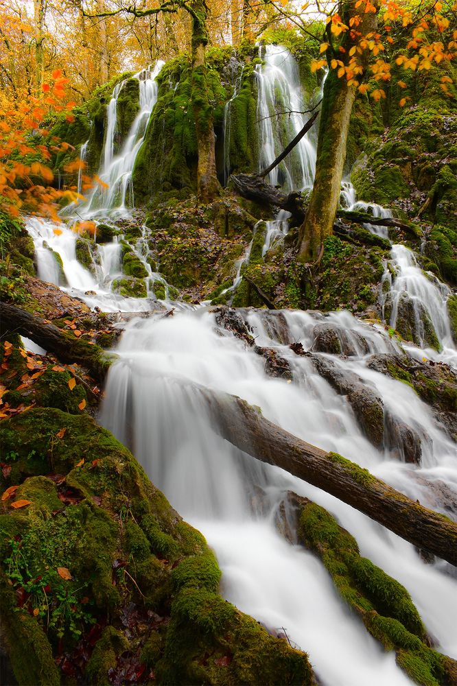 Photograph by Reza Jafari