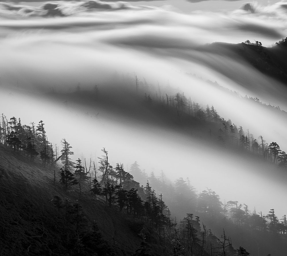 Photograph by si ong the